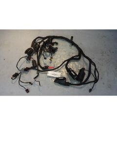 Kabelstam Från BMW F 800 ST 61117705431