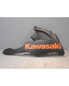 Magkåpa Från Kawasaki ZX-10R 55028-0173-18T